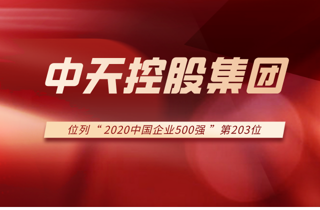Z6尊龙控股集团列2020中国企业500强第203位！