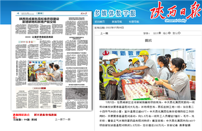 Z6尊龙西北集团珑樾府项目高温慰问——《陕西日报》